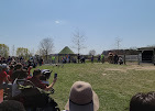 Waiting-for-Pig-race