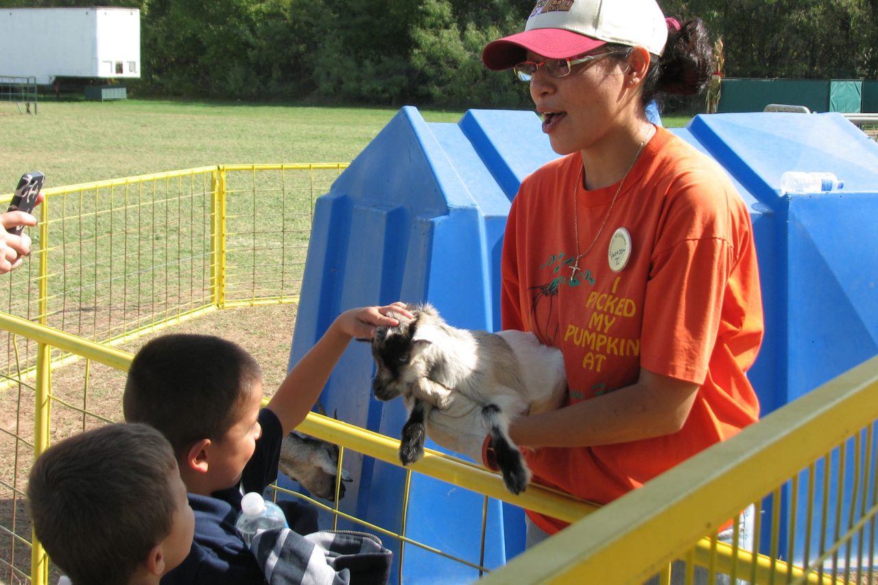 Employment Green Meadows Petting Farm